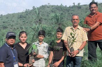 Plantation (2)