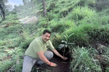 Plantation (36)