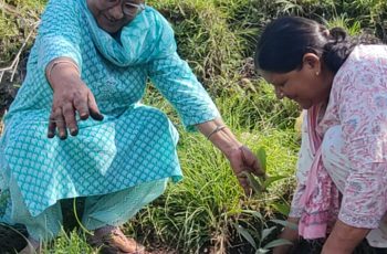 Plantattion Drive Blp (16)