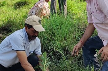 Plantattion Drive Blp (17)
