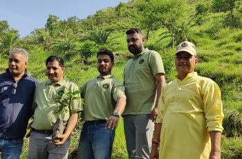 Plantattion Drive Blp (18)